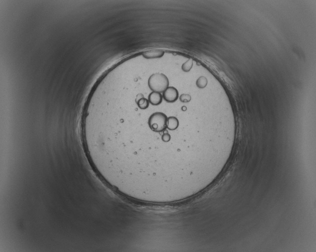 X0000116321189200912291527