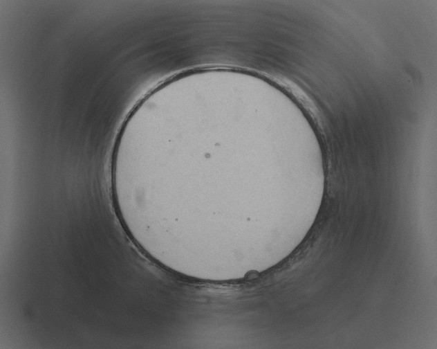 X0000116321191200912291527