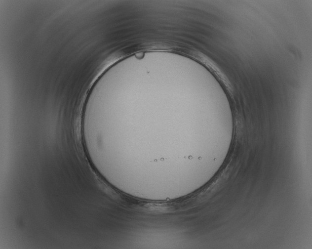 X0000116321194200912291527