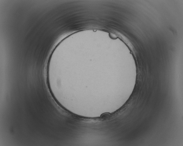 X0000116321195200912291527