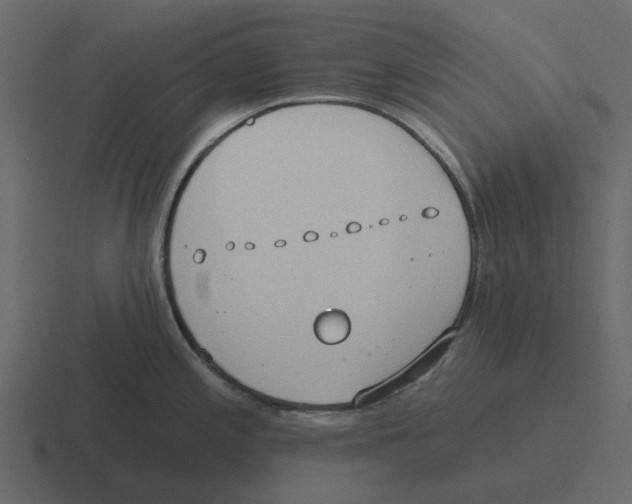 X0000116321197200912291527