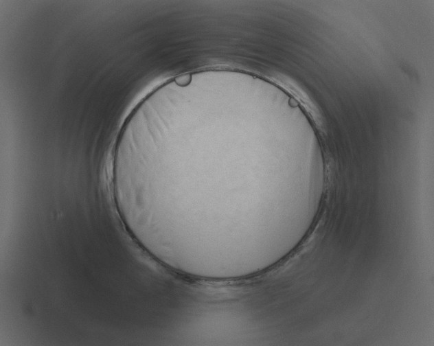 X0000116321198200912291527