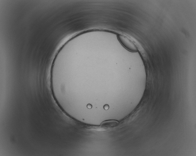 X0000116321199200912291527