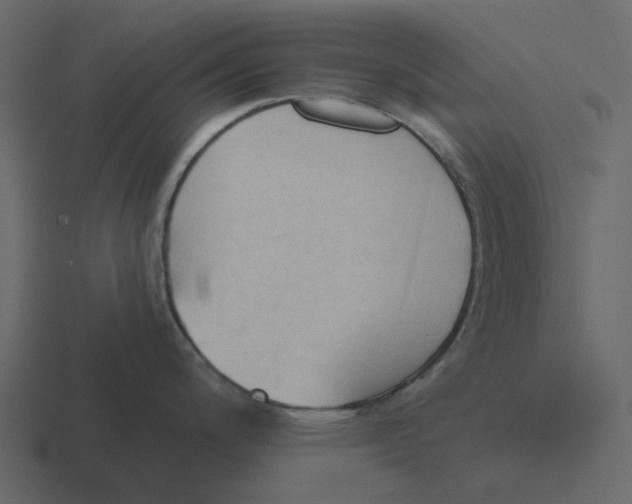 X0000116321200200912291527