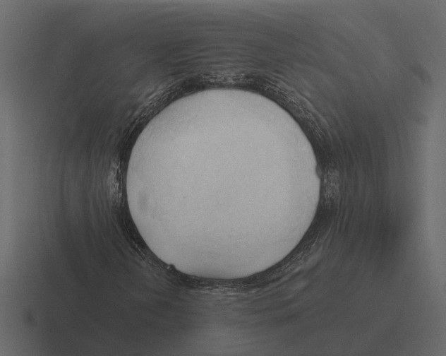 X0000116321202200912291526