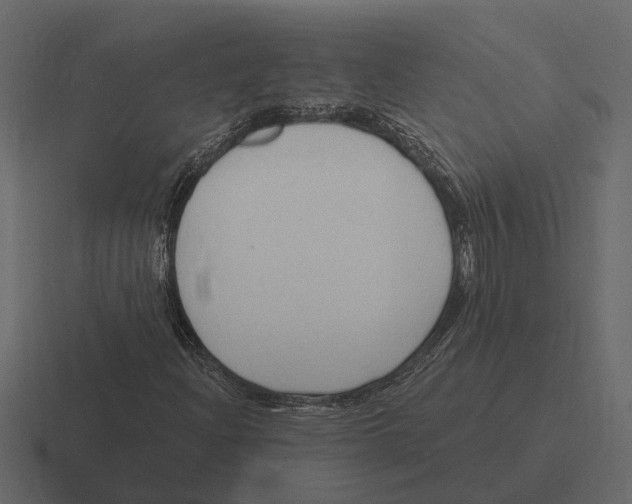 X0000116321204200912291526