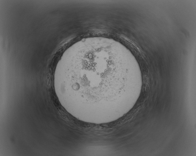 X0000116321207200912291527