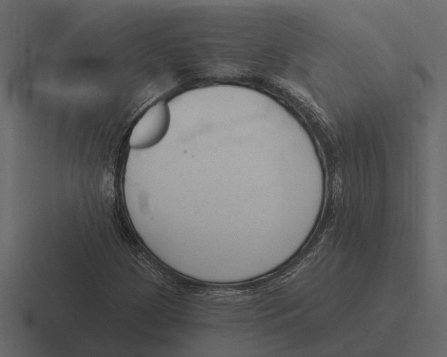 X0000116321209200912291527