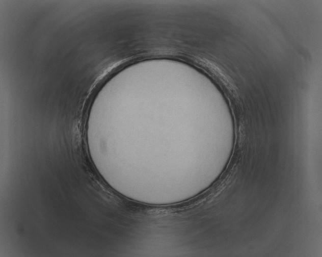 X0000116321212200912291527