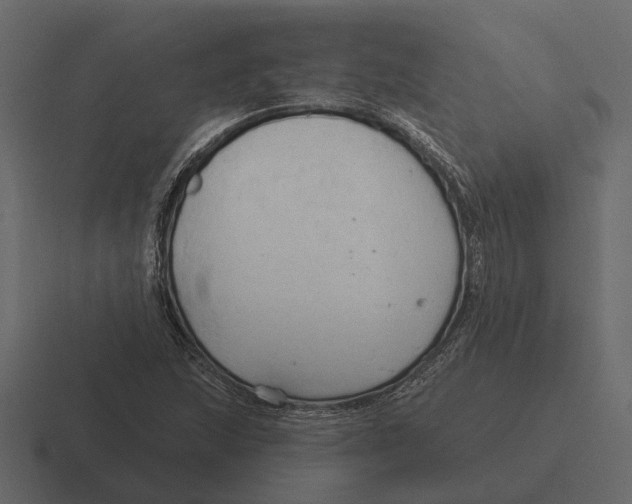 X0000116321215200912291527