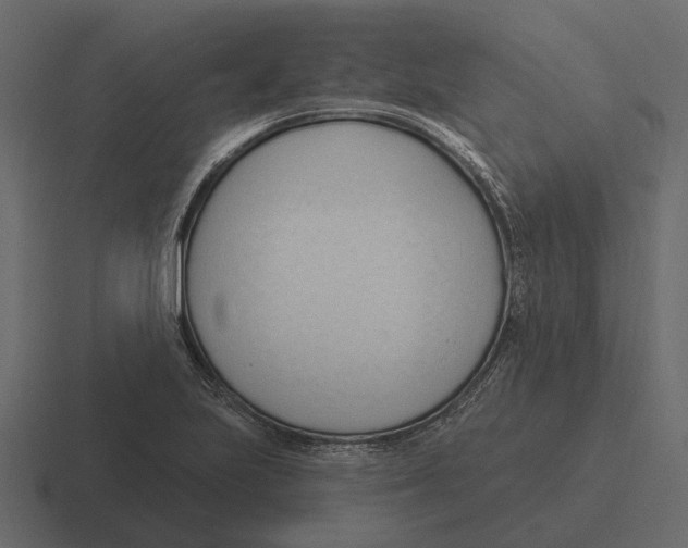 X0000116321223200912291527