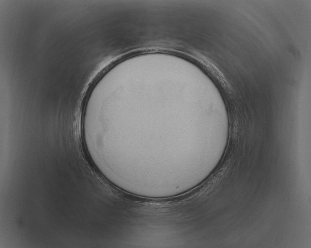 X0000116321224200912291527