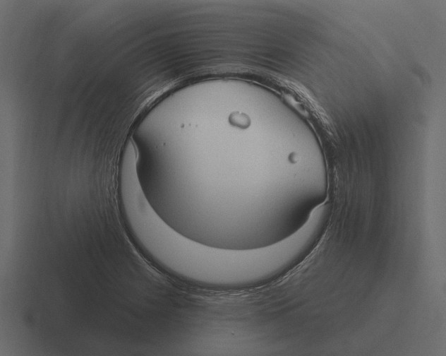 X0000116321225200912291527