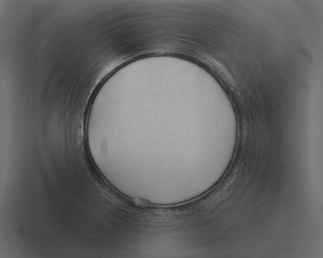 X0000116321226200912291527