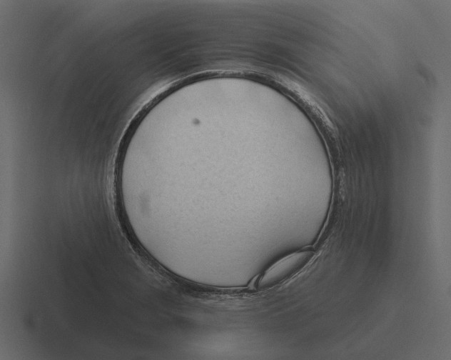 X0000116321229200912291527