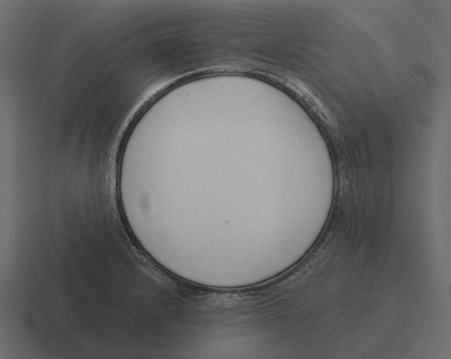 X0000116321232200912291527