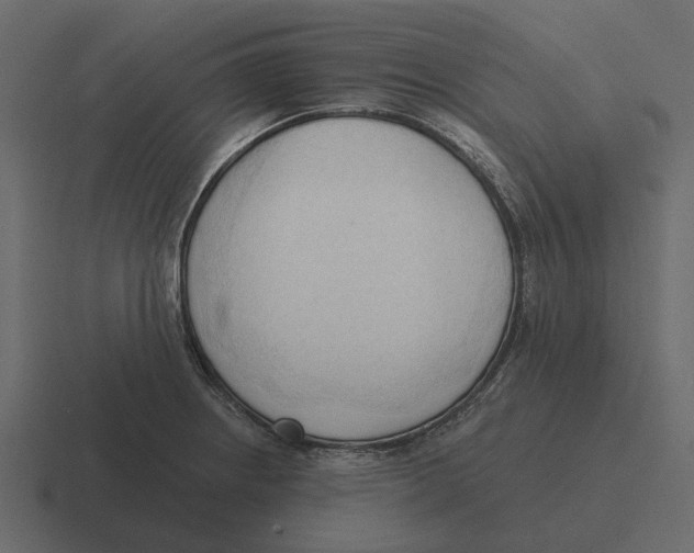 X0000116321234200912291527