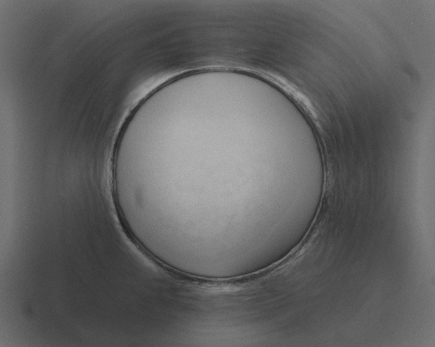 X0000116321239200912291527