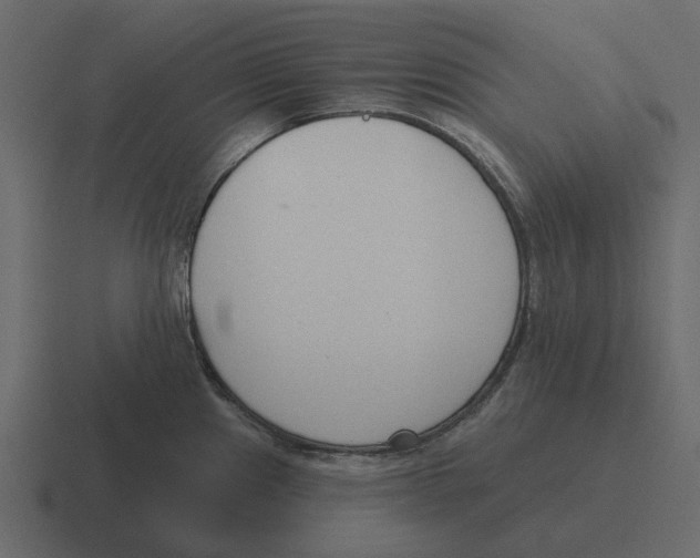 X0000116321241200912291527