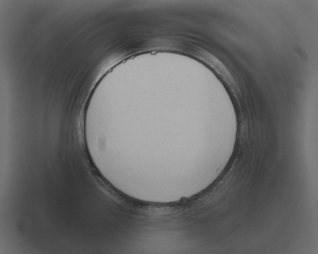 X0000116321242200912291527