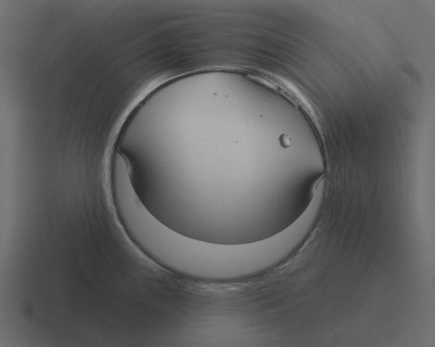 X0000116321243200912291527