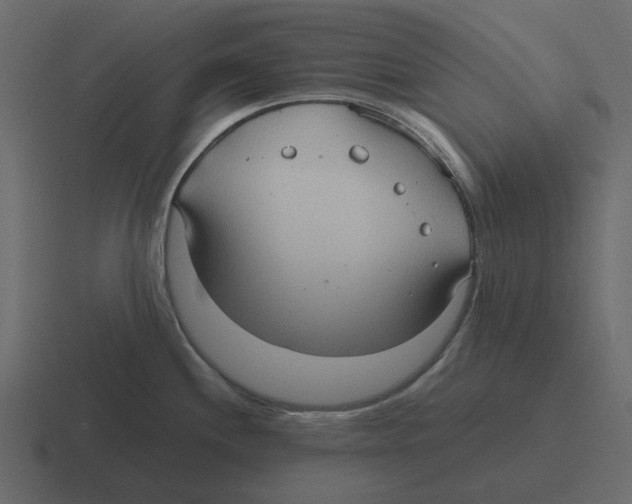 X0000116321244200912291527