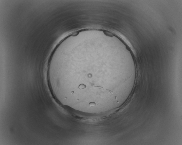 X0000116321245200912291527