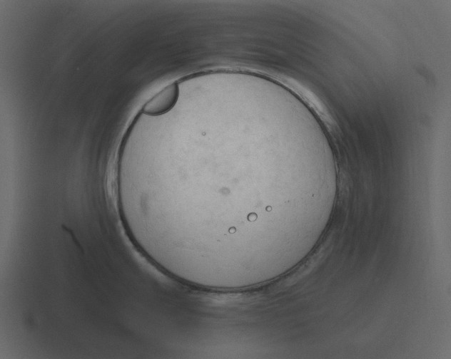 X0000116321247200912291527