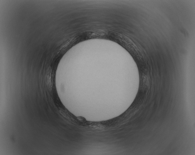 X0000116321250200912291526