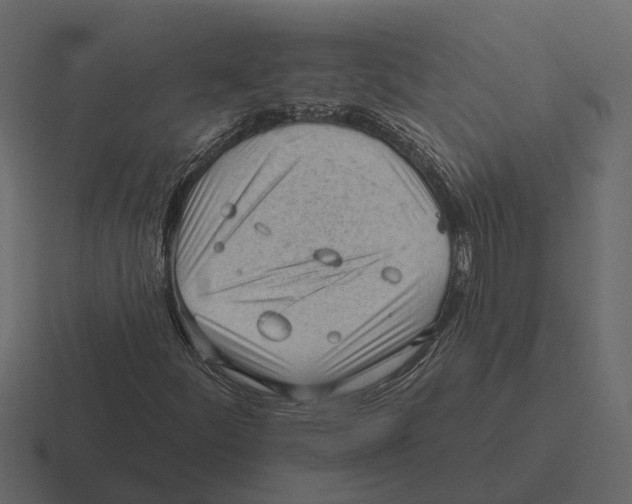 X0000116321252200912291526