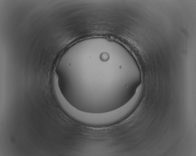 X0000116321257200912291526