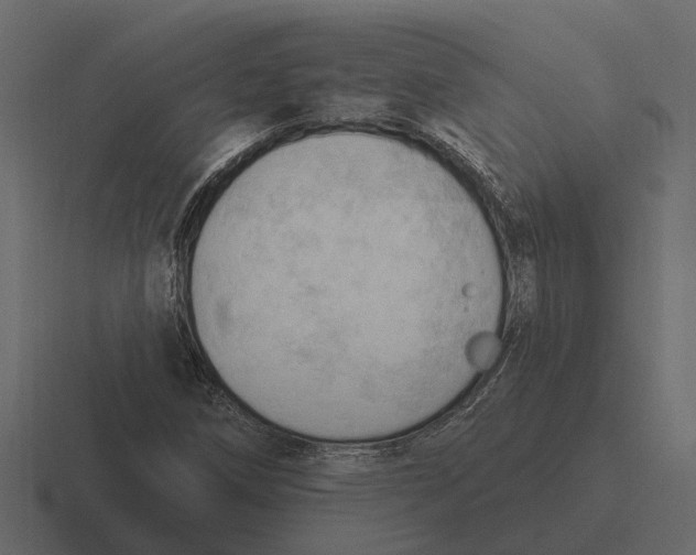 X0000116321258200912291526