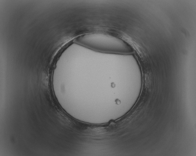 X0000116321260200912291526