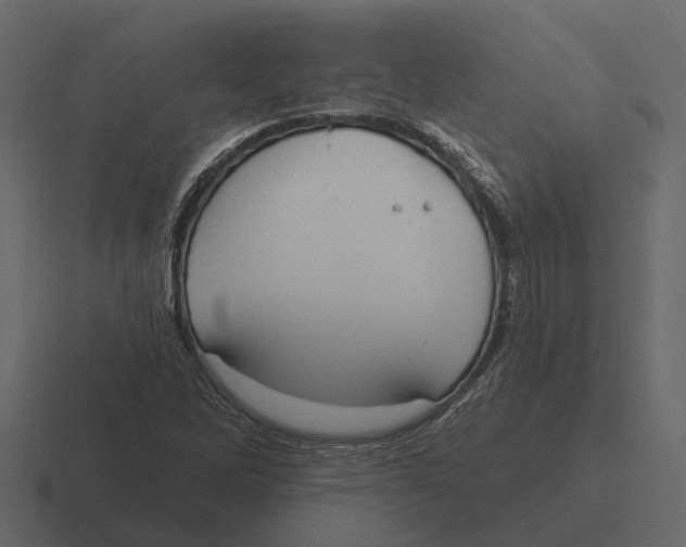 X0000116321262200912291526