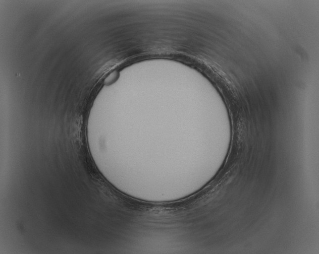 X0000116321265200912291526