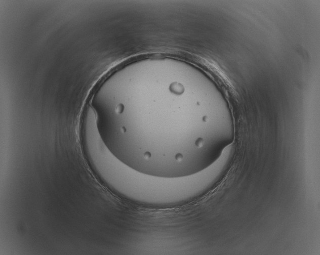 X0000116321268200912291526