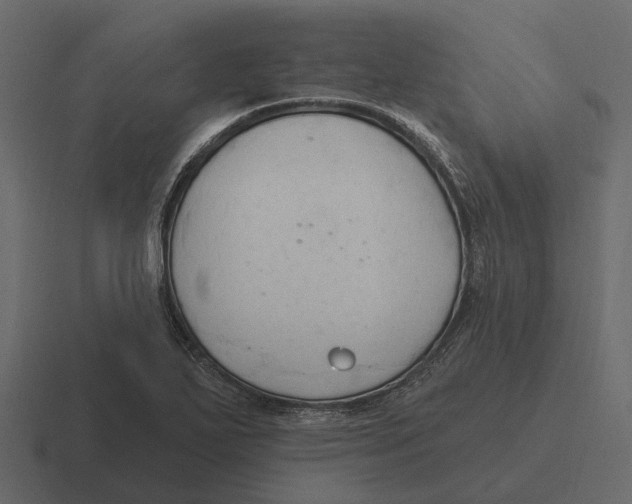 X0000116321271200912291526