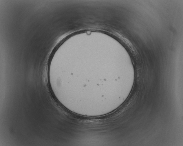 X0000116321272200912291526