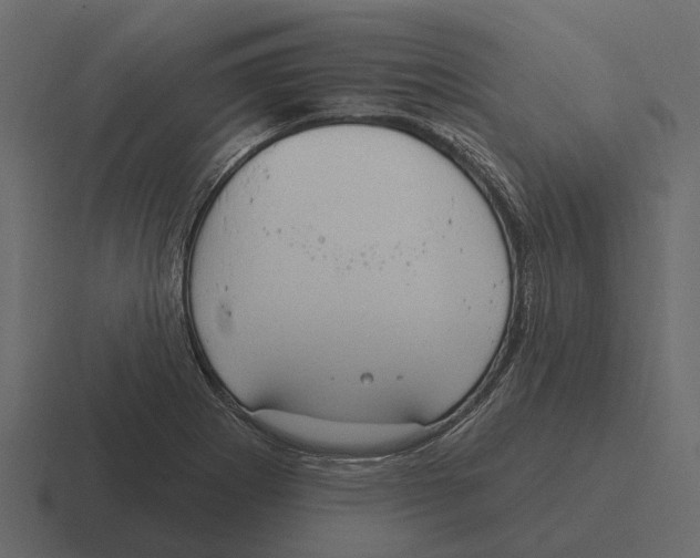 X0000116321273200912291526