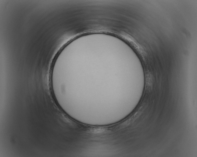 X0000116321278200912291526