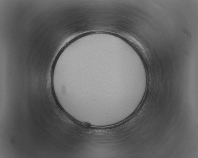 X0000116321280200912291526