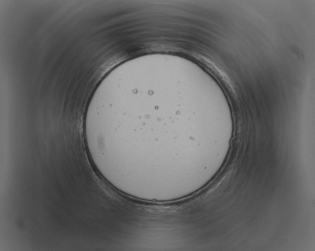 X0000116321281200912291526