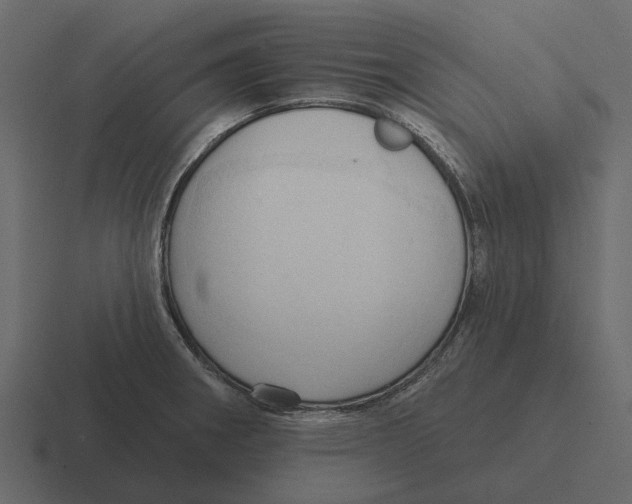 X0000116321282200912291526