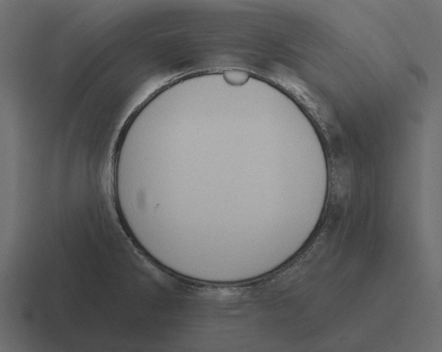 X0000116321286200912291526