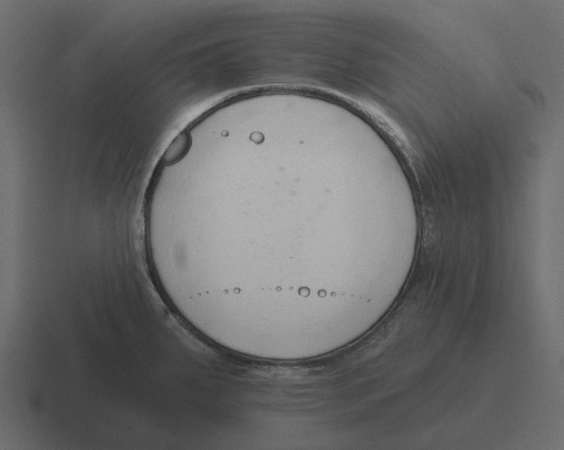 X0000116321287200912291526