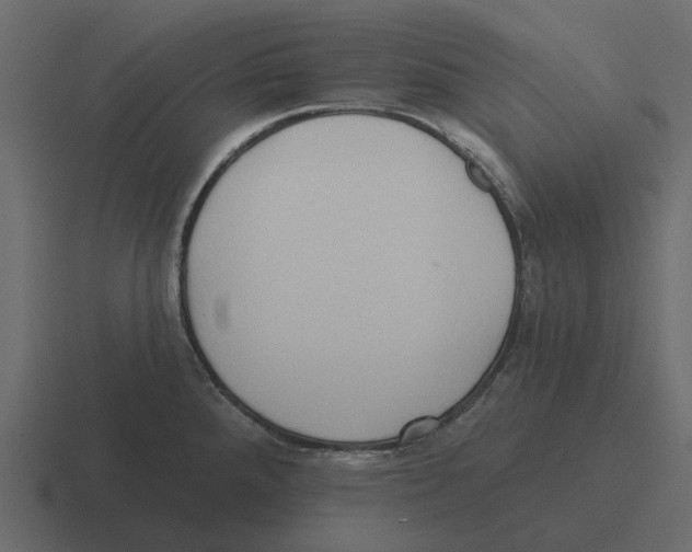 X0000116321288200912291526