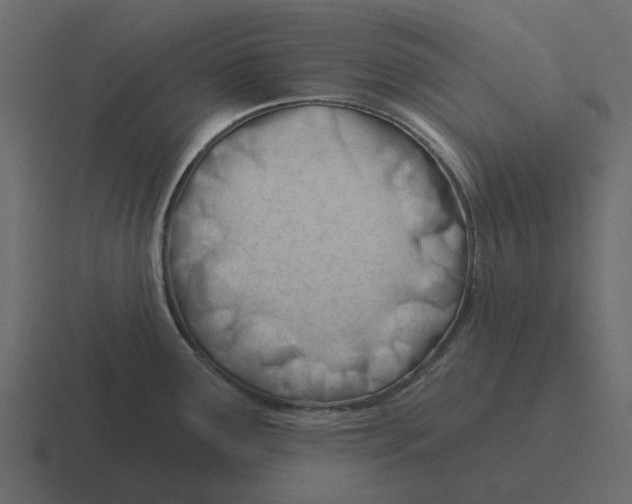 X0000116321291200912291526