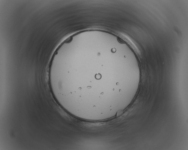 X0000116321292200912291526