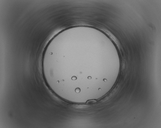 X0000116321293200912291526