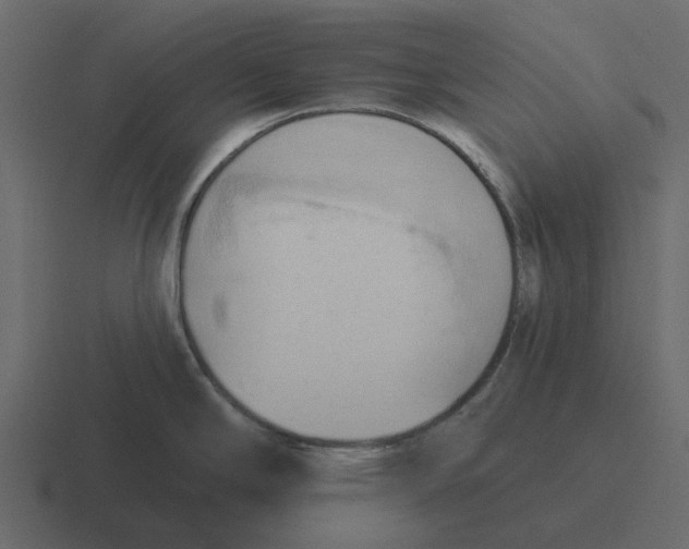 X0000116321294200912291526